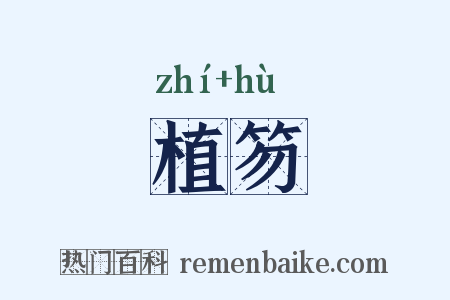 植笏是什么意思的图片
